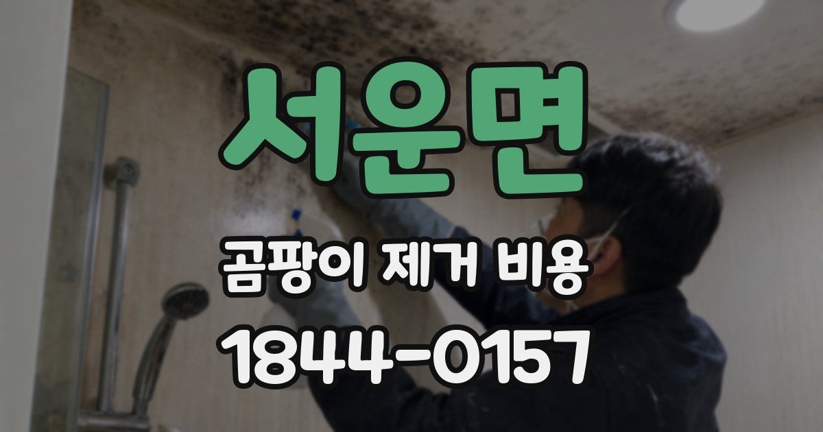 서운면 곰팡이 제거 비용
