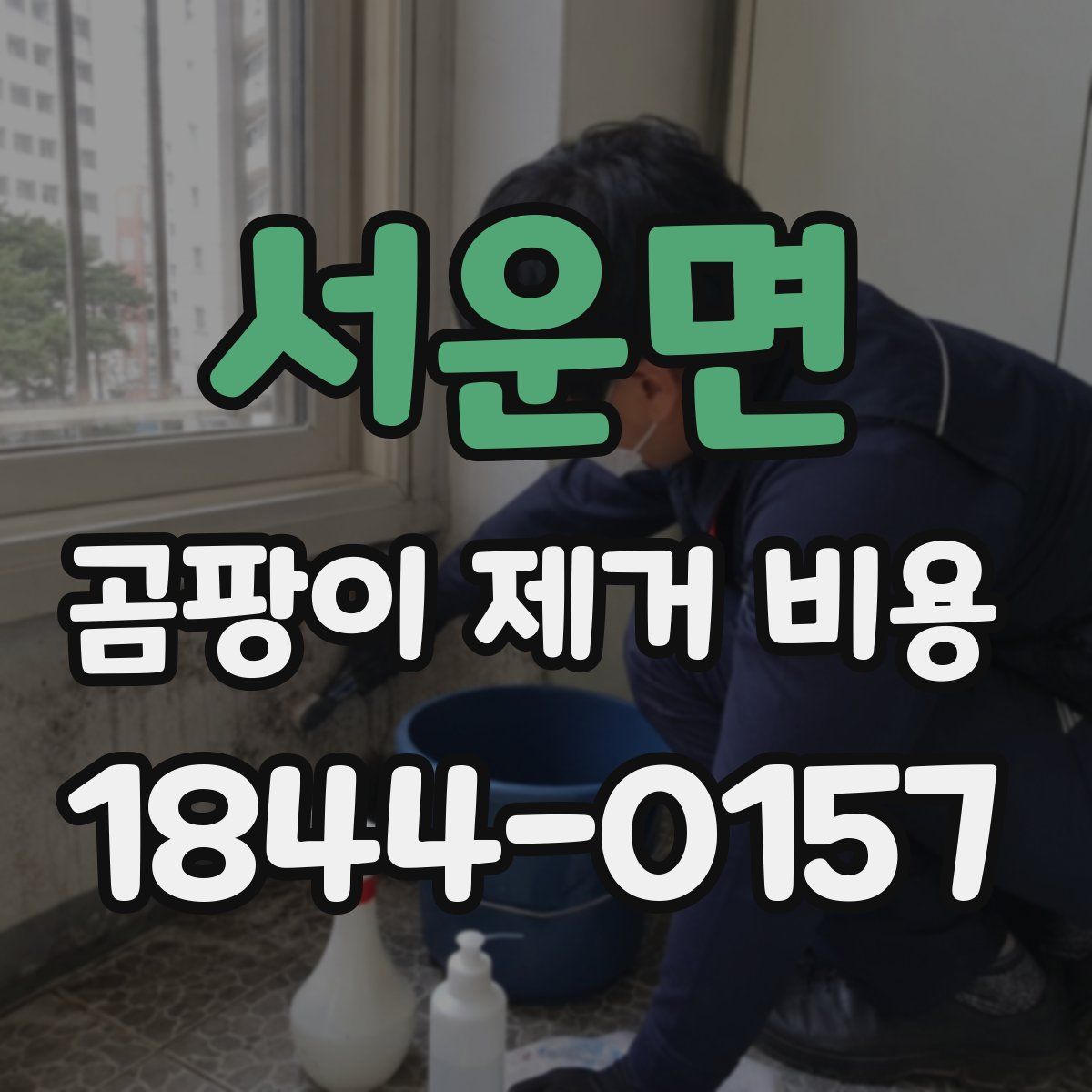서운면 곰팡이 제거 비용