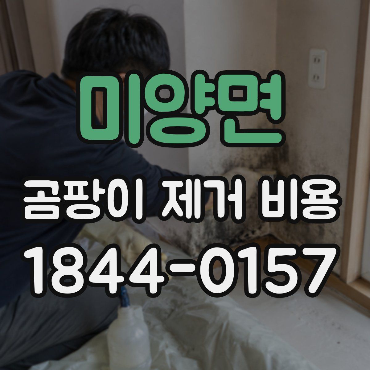 미양면 곰팡이 제거 비용