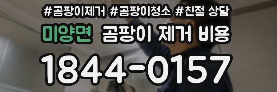 미양면 곰팡이 제거 비용