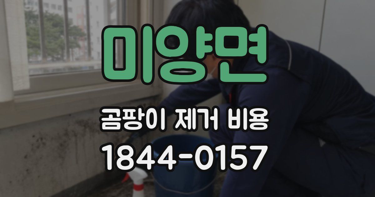미양면 곰팡이 제거 비용