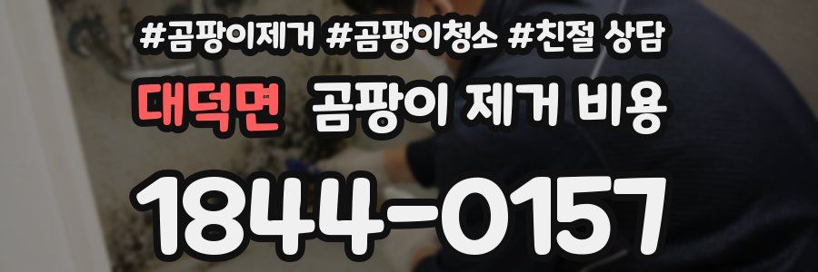 대덕면 곰팡이 제거 비용