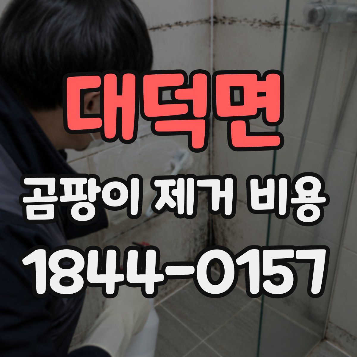 대덕면 곰팡이 제거 비용