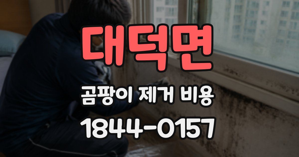 대덕면 곰팡이 제거 비용