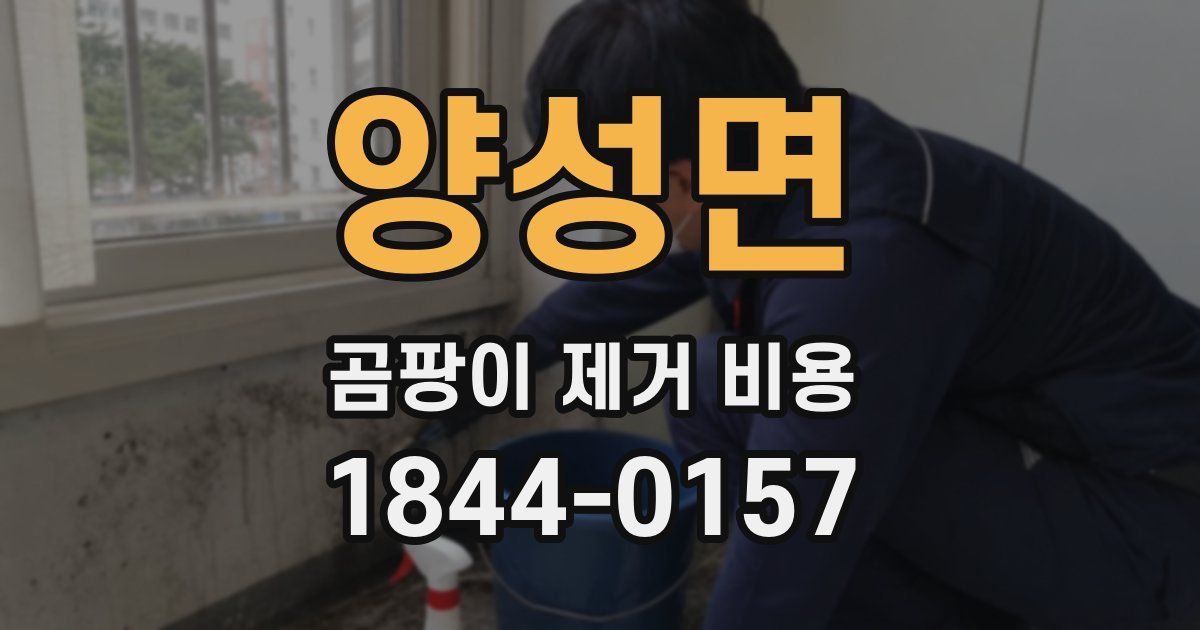 양성면 곰팡이 제거 비용