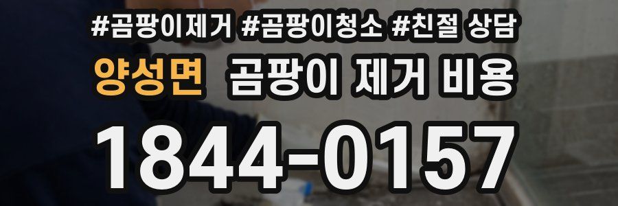 양성면 곰팡이 제거 비용
