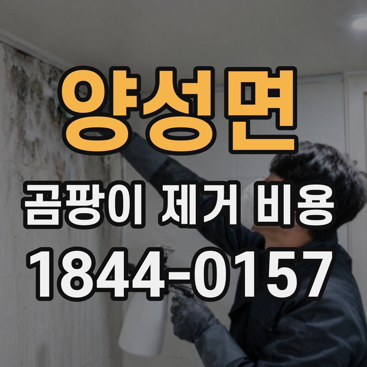 양성면 곰팡이 제거 비용