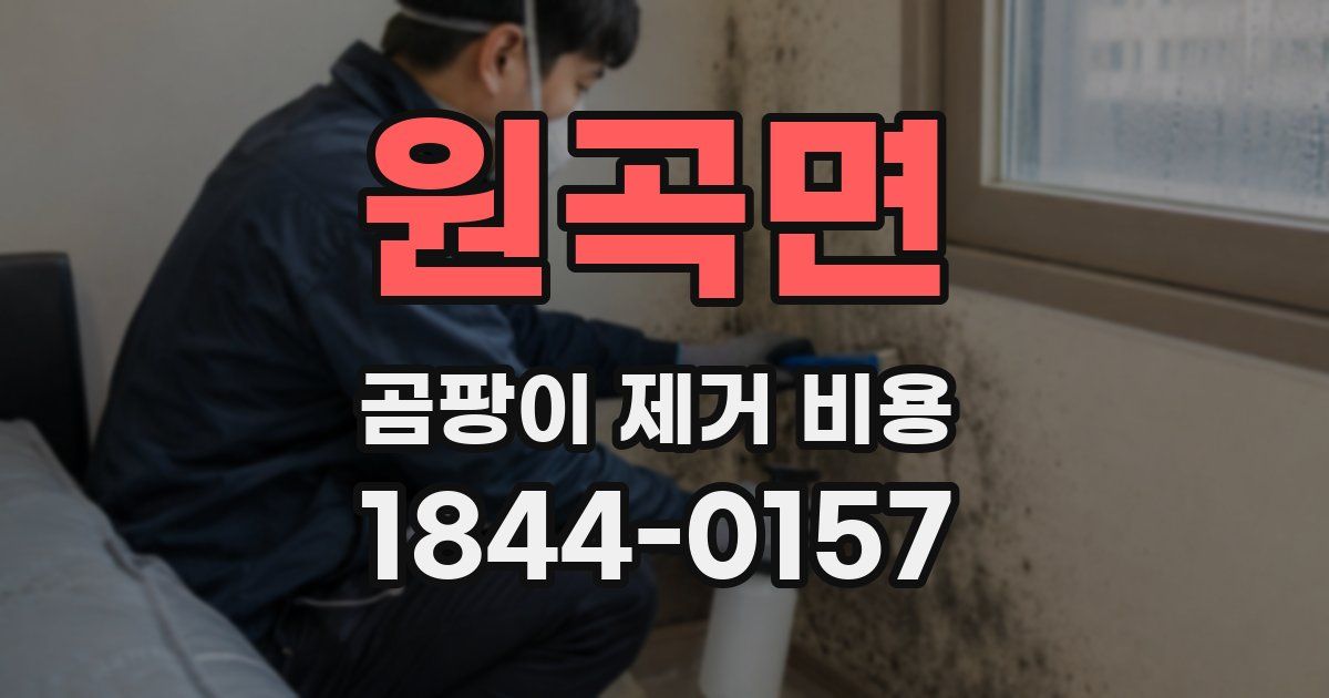 원곡면 곰팡이 제거 비용