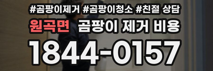 원곡면 곰팡이 제거 비용