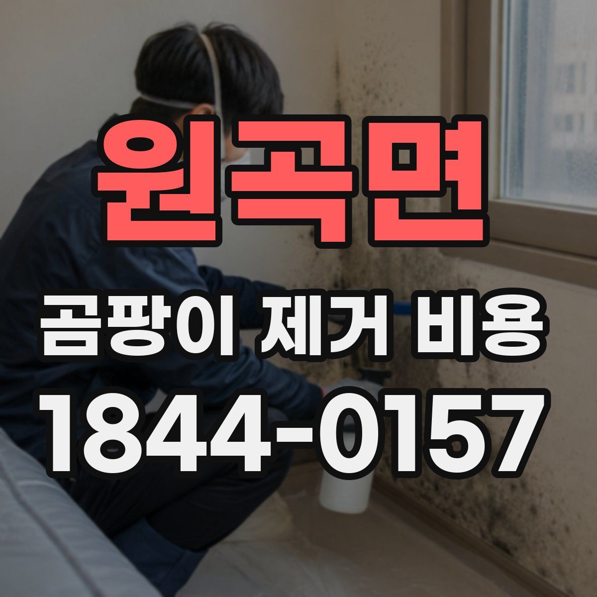 원곡면 곰팡이 제거 비용