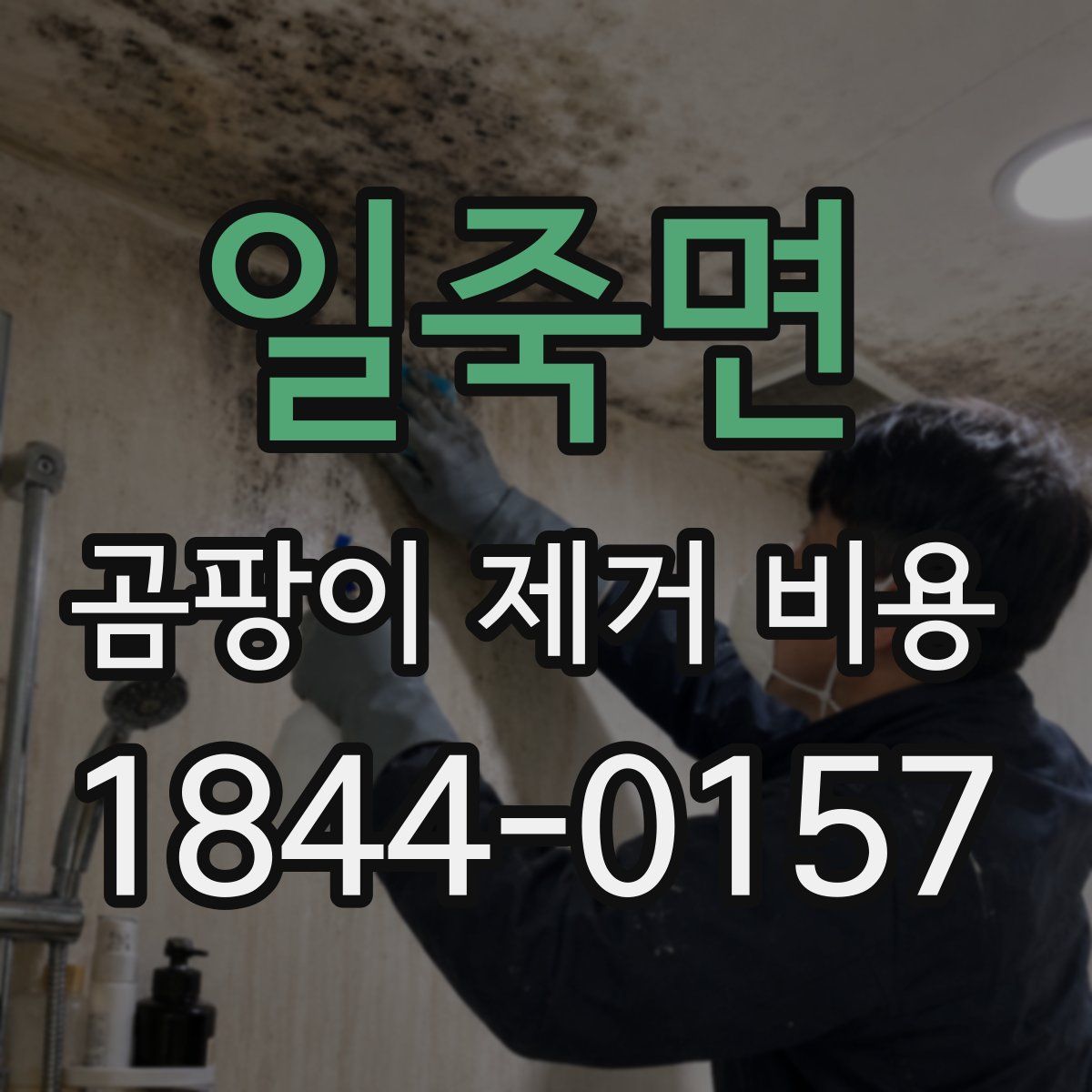 일죽면 곰팡이 제거 비용