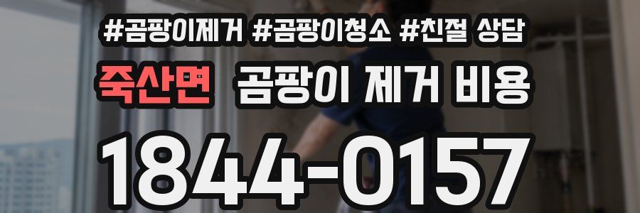 죽산면 곰팡이 제거 비용