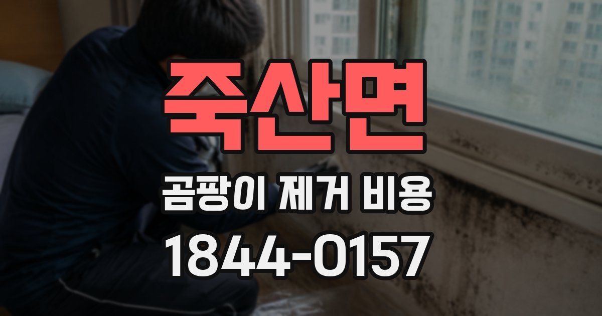 죽산면 곰팡이 제거 비용