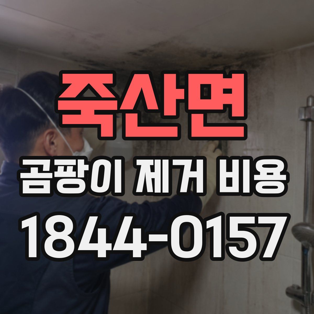 죽산면 곰팡이 제거 비용