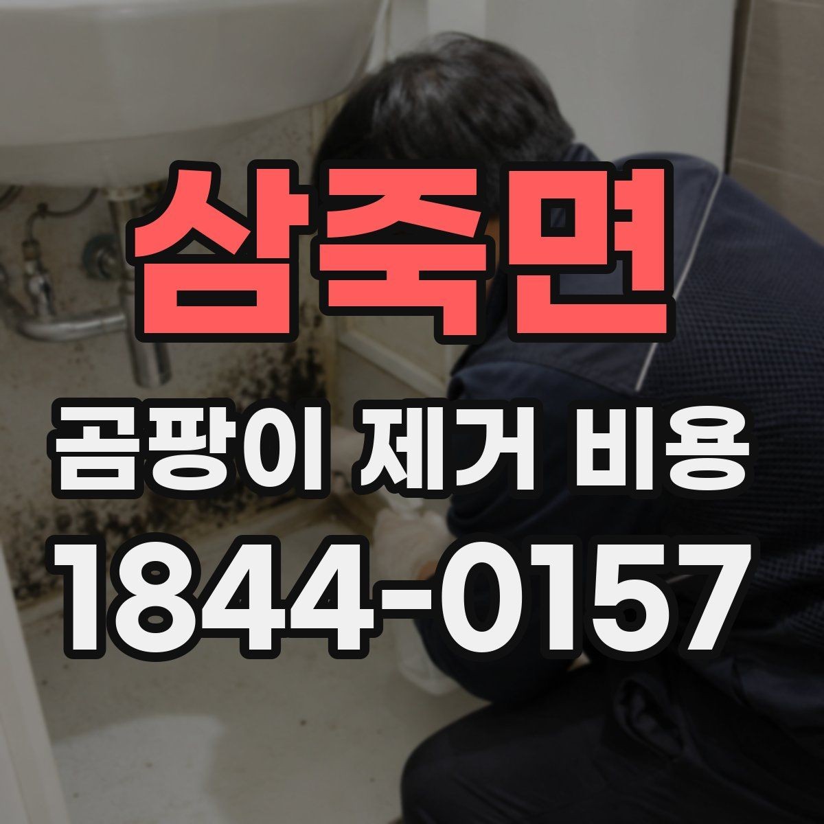 삼죽면 곰팡이 제거 비용 사전 점검이 중요한 이유