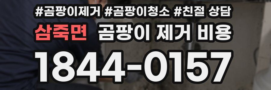 삼죽면 곰팡이 제거 비용