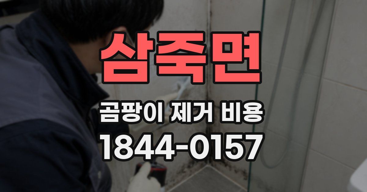 삼죽면 곰팡이 제거 비용