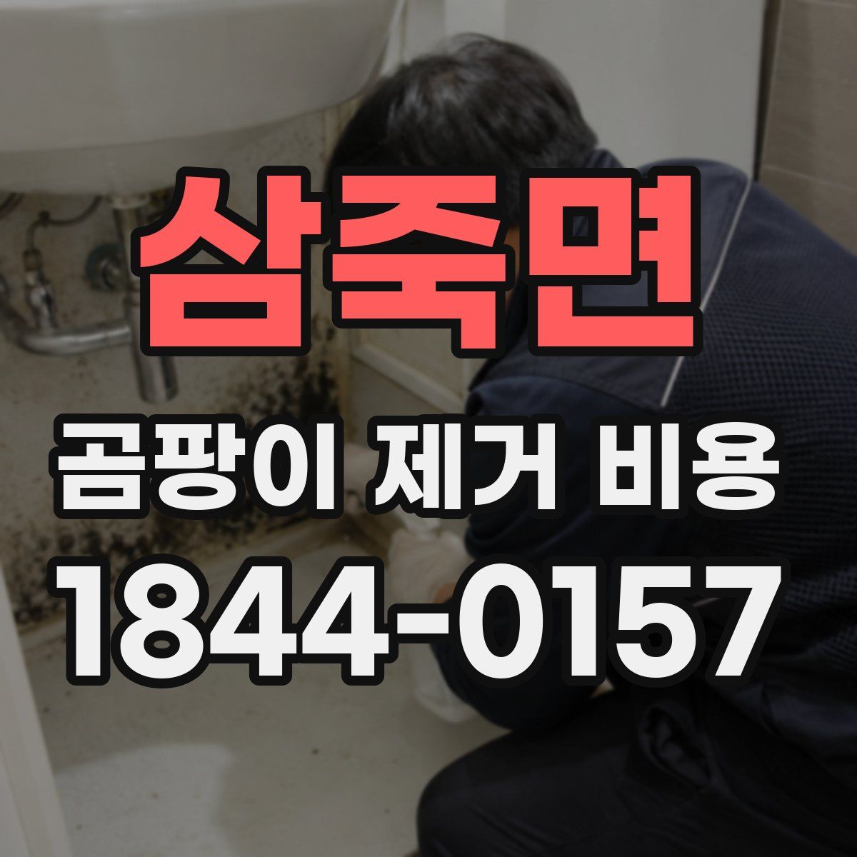 삼죽면 곰팡이 제거 비용