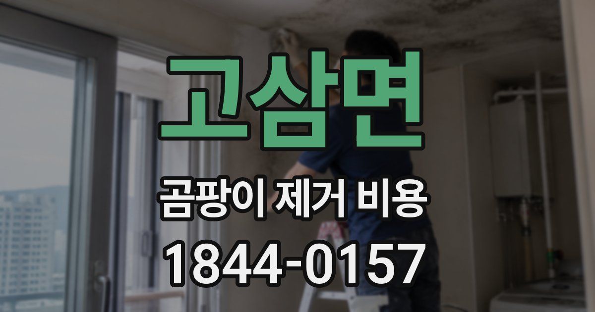 고삼면 곰팡이 제거 비용