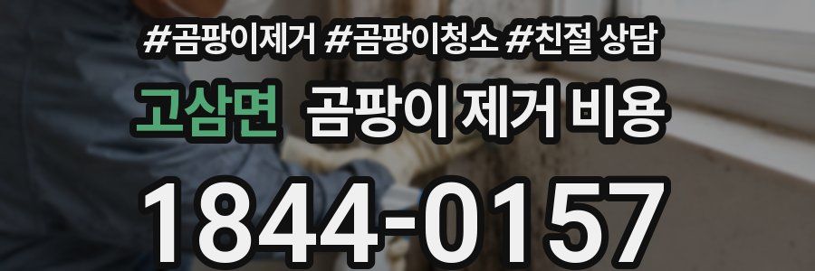 고삼면 곰팡이 제거 비용