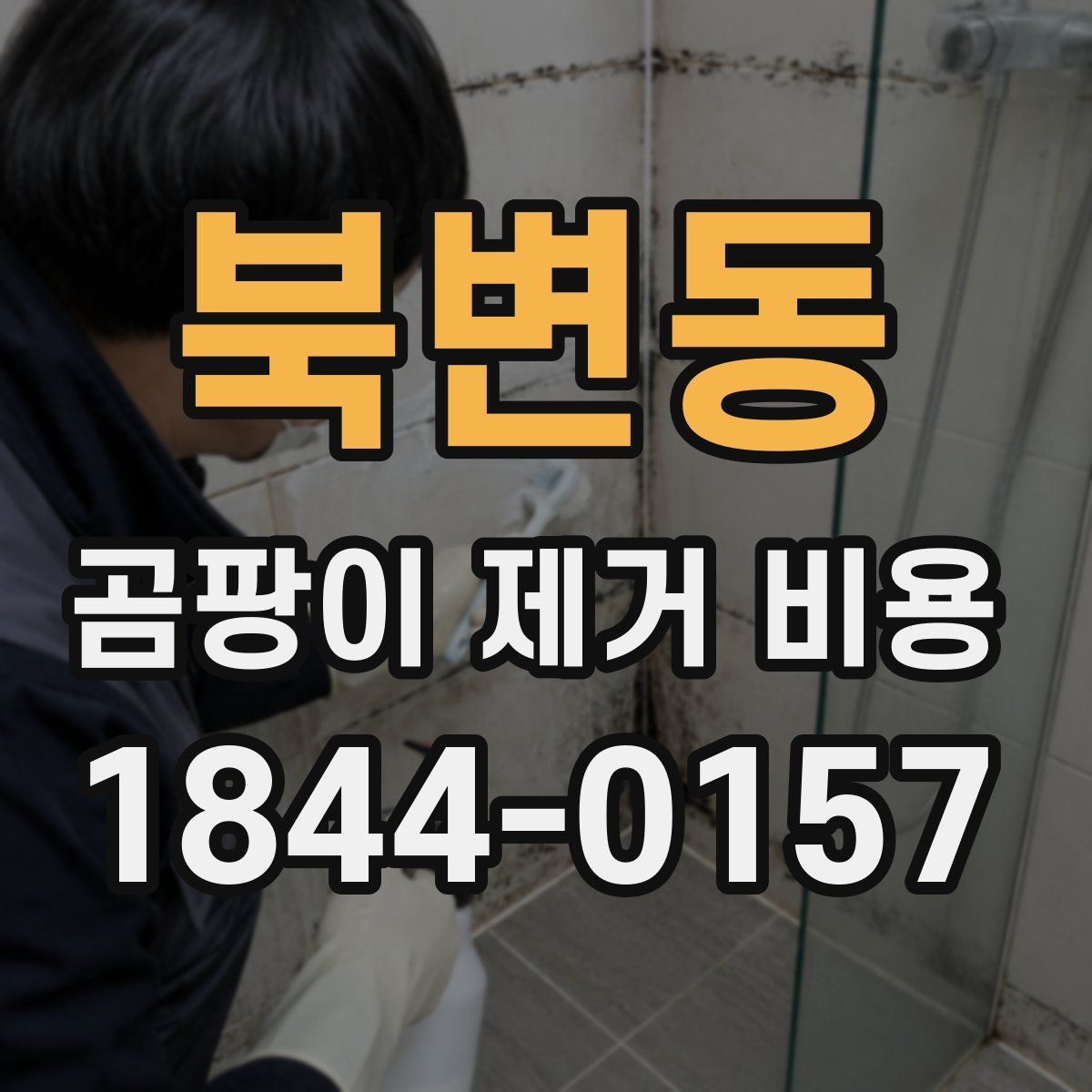 북변동 곰팡이 제거 비용