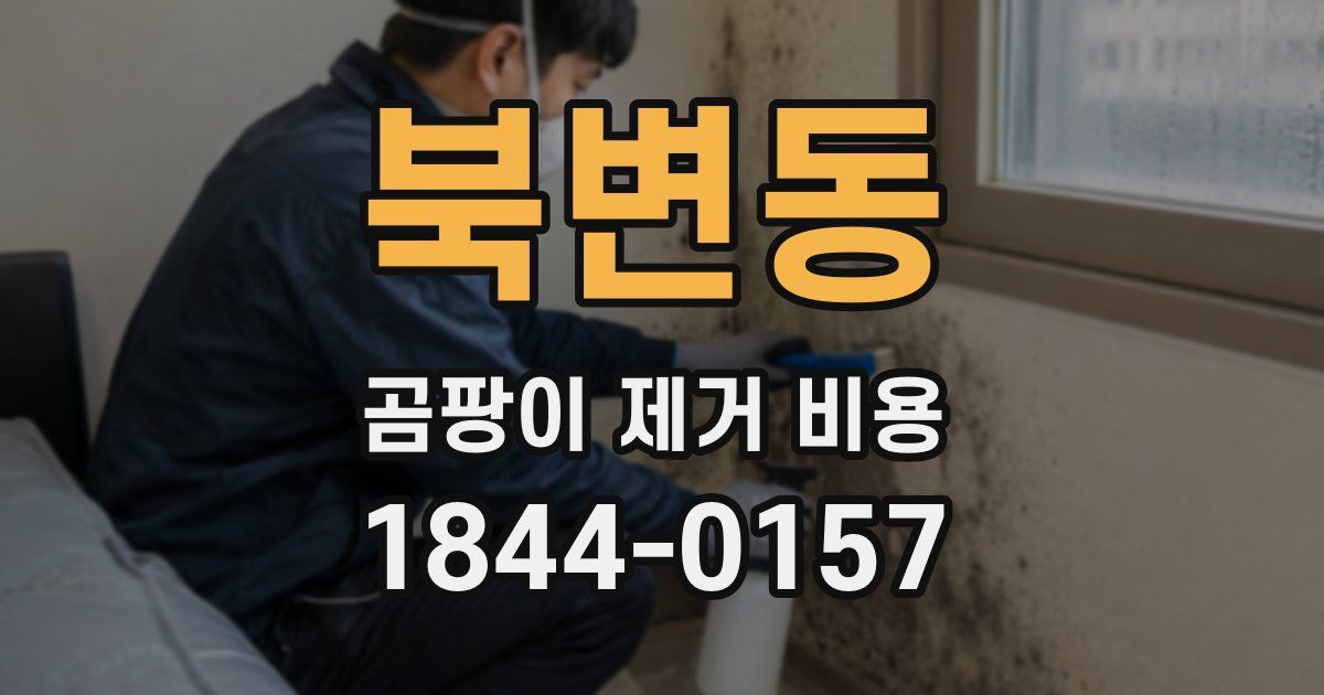 북변동 곰팡이 제거 비용