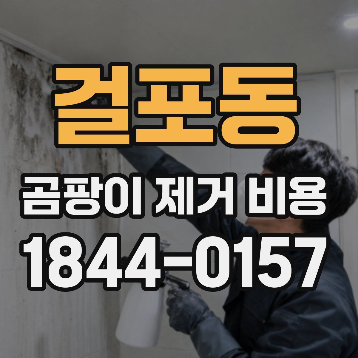 걸포동 곰팡이 제거 비용