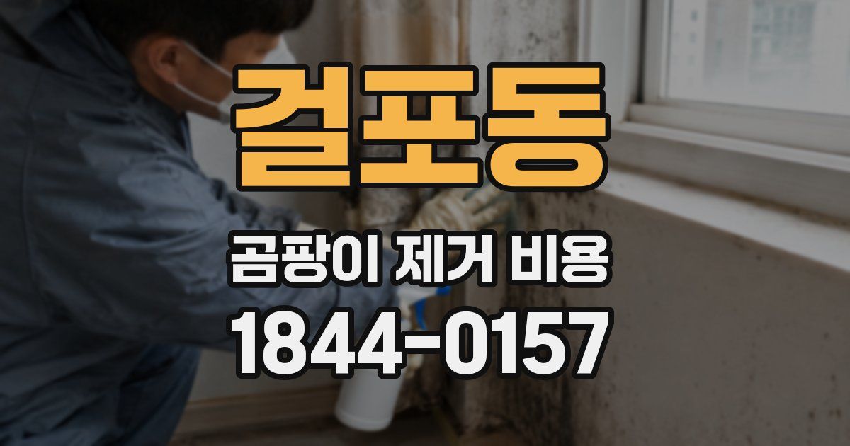 걸포동 곰팡이 제거 비용
