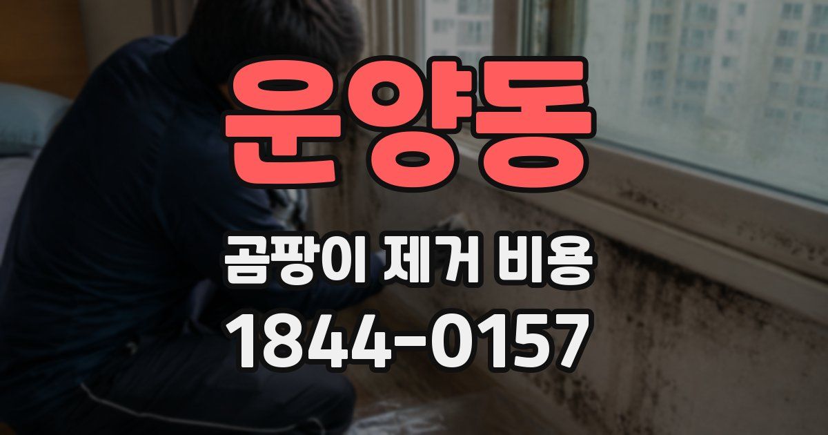 운양동 곰팡이 제거 비용