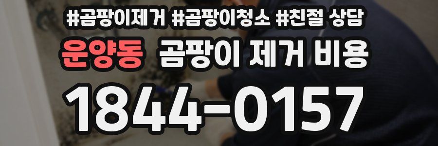 운양동 곰팡이 제거 비용