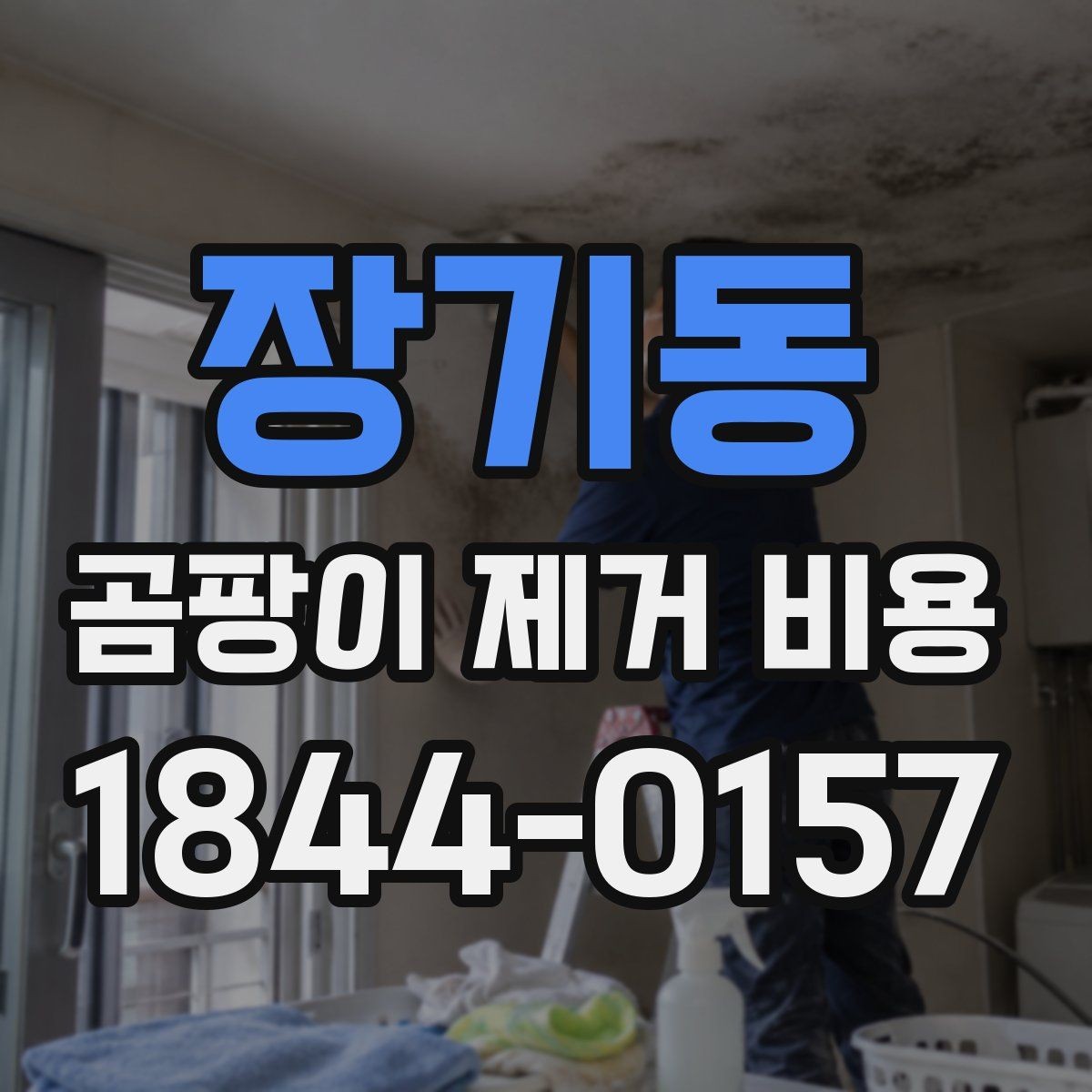 장기동 곰팡이 제거 비용 눈에 보이지 않는 곳까지 점검해야 하는 이유