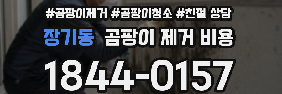 장기동 곰팡이 제거 비용