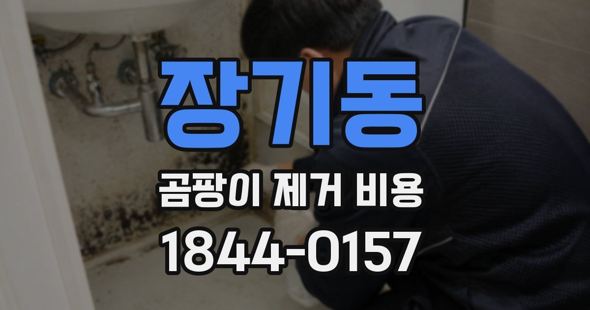 장기동 곰팡이 제거 비용