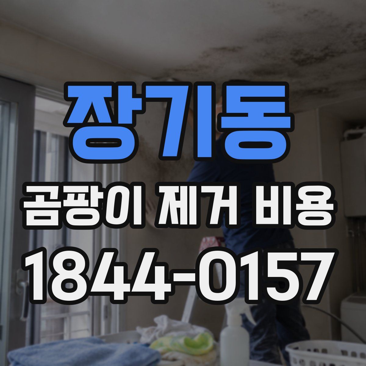 장기동 곰팡이 제거 비용