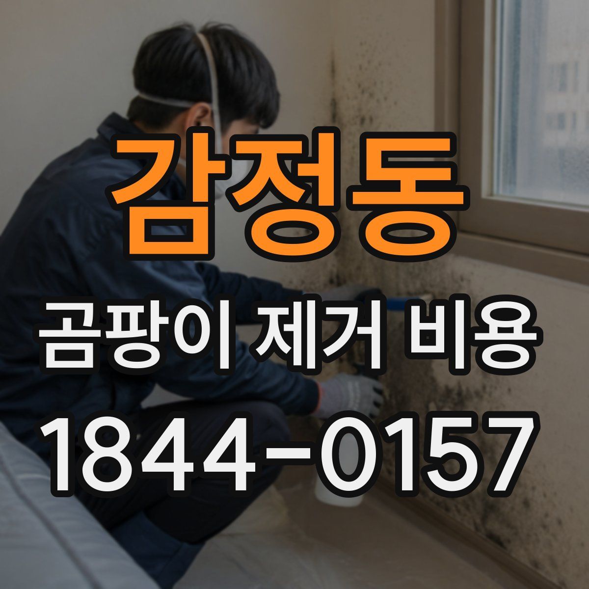 감정동 곰팡이 제거 비용