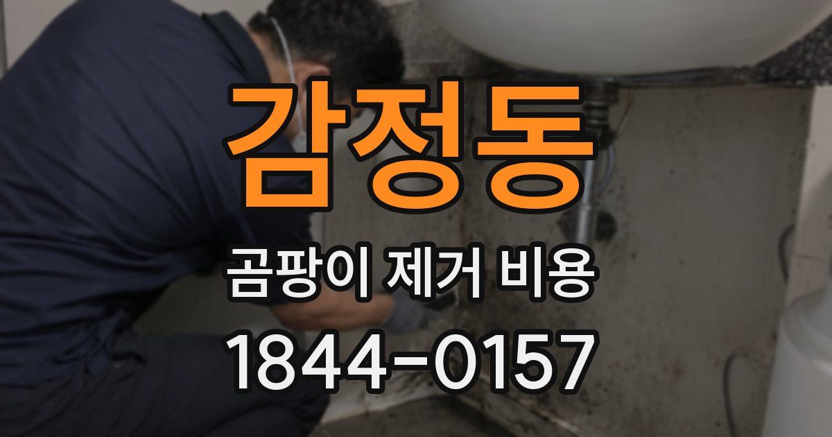 감정동 곰팡이 제거 비용