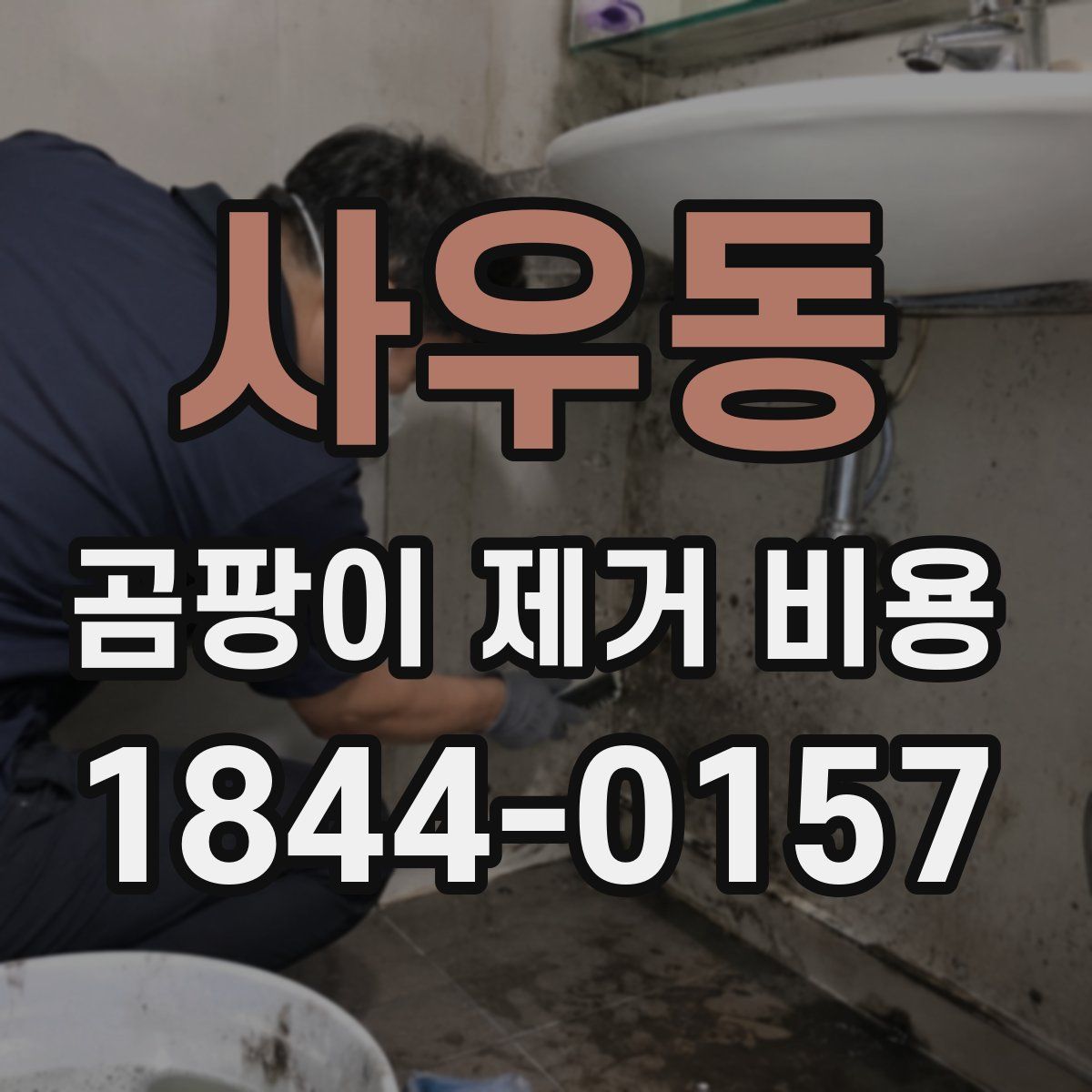 사우동 곰팡이 제거 비용