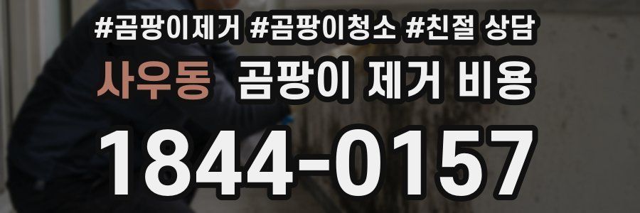 사우동 곰팡이 제거 비용