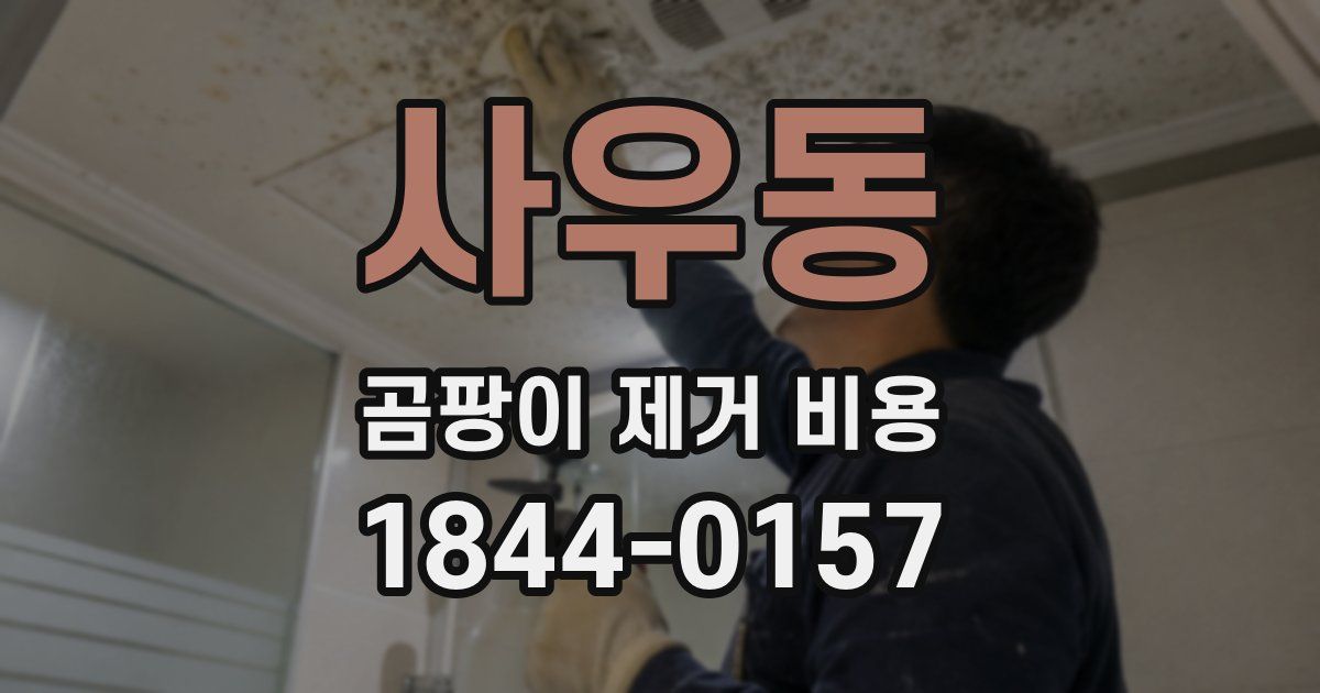 사우동 곰팡이 제거 비용
