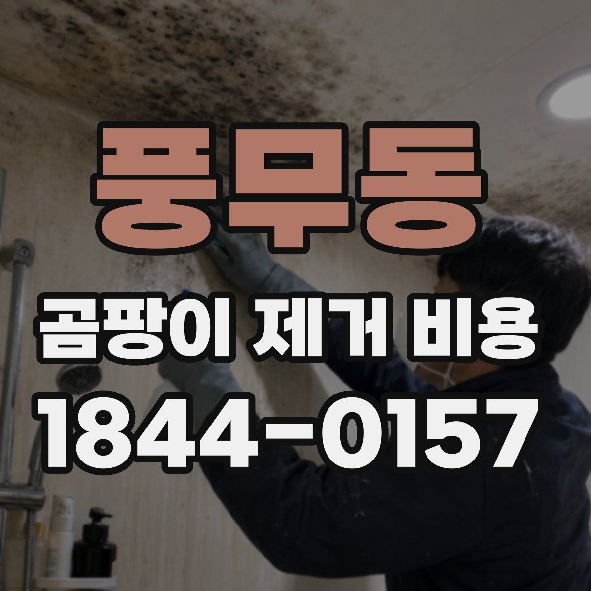 풍무동 곰팡이 제거 비용