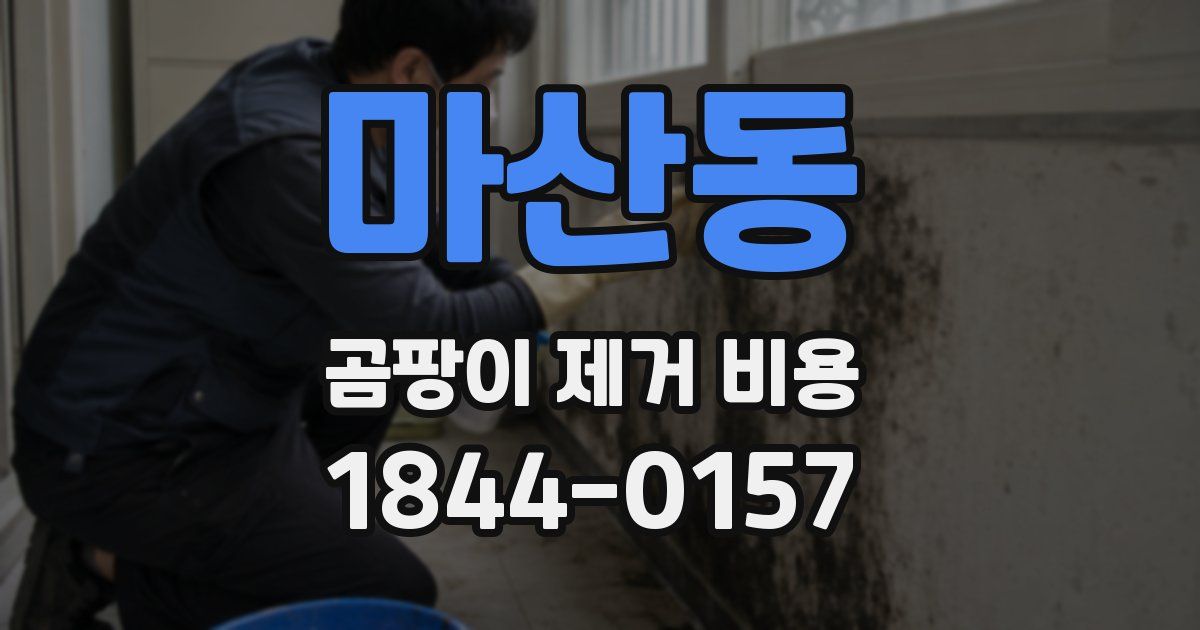 마산동 곰팡이 제거 비용