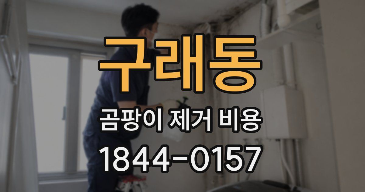 구래동 곰팡이 제거 비용