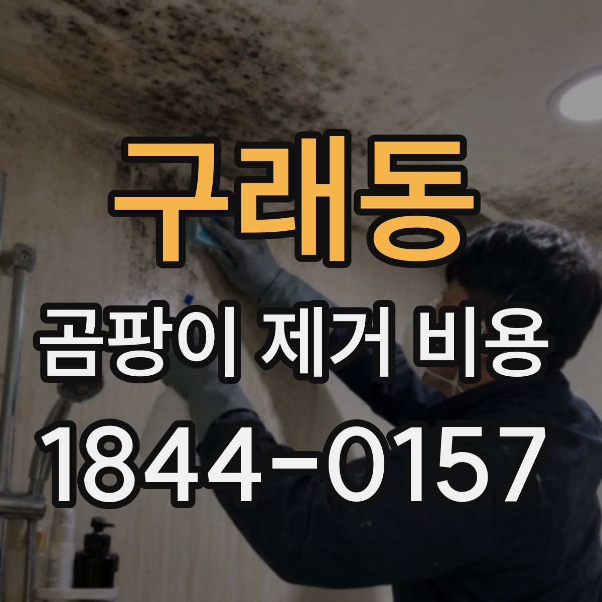 구래동 곰팡이 제거 비용