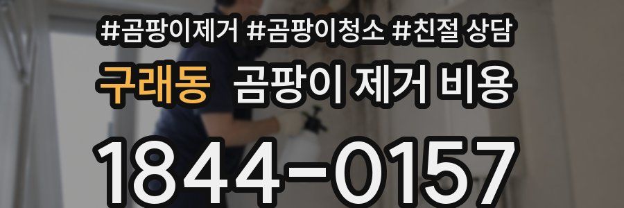 구래동 곰팡이 제거 비용