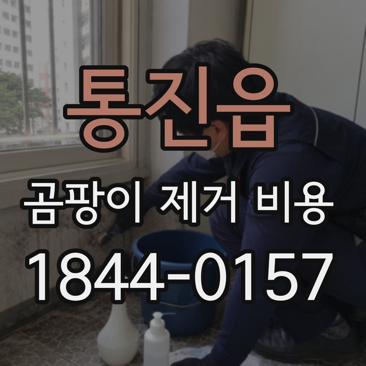 통진읍 곰팡이 제거 비용