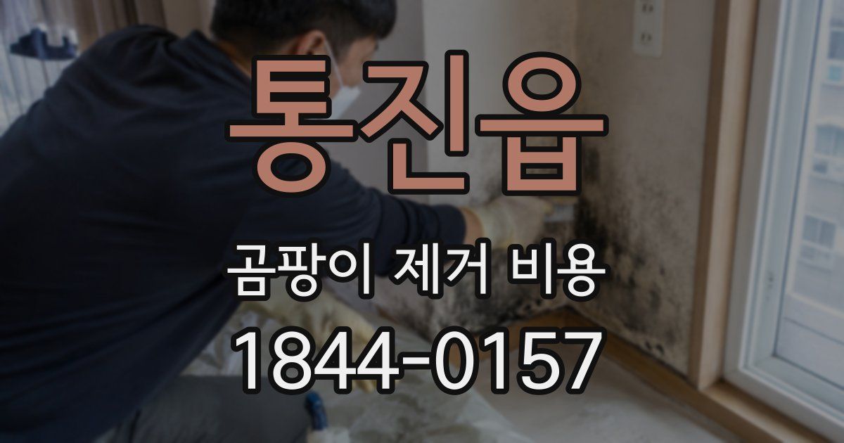 통진읍 곰팡이 제거 비용