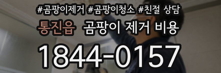 통진읍 곰팡이 제거 비용