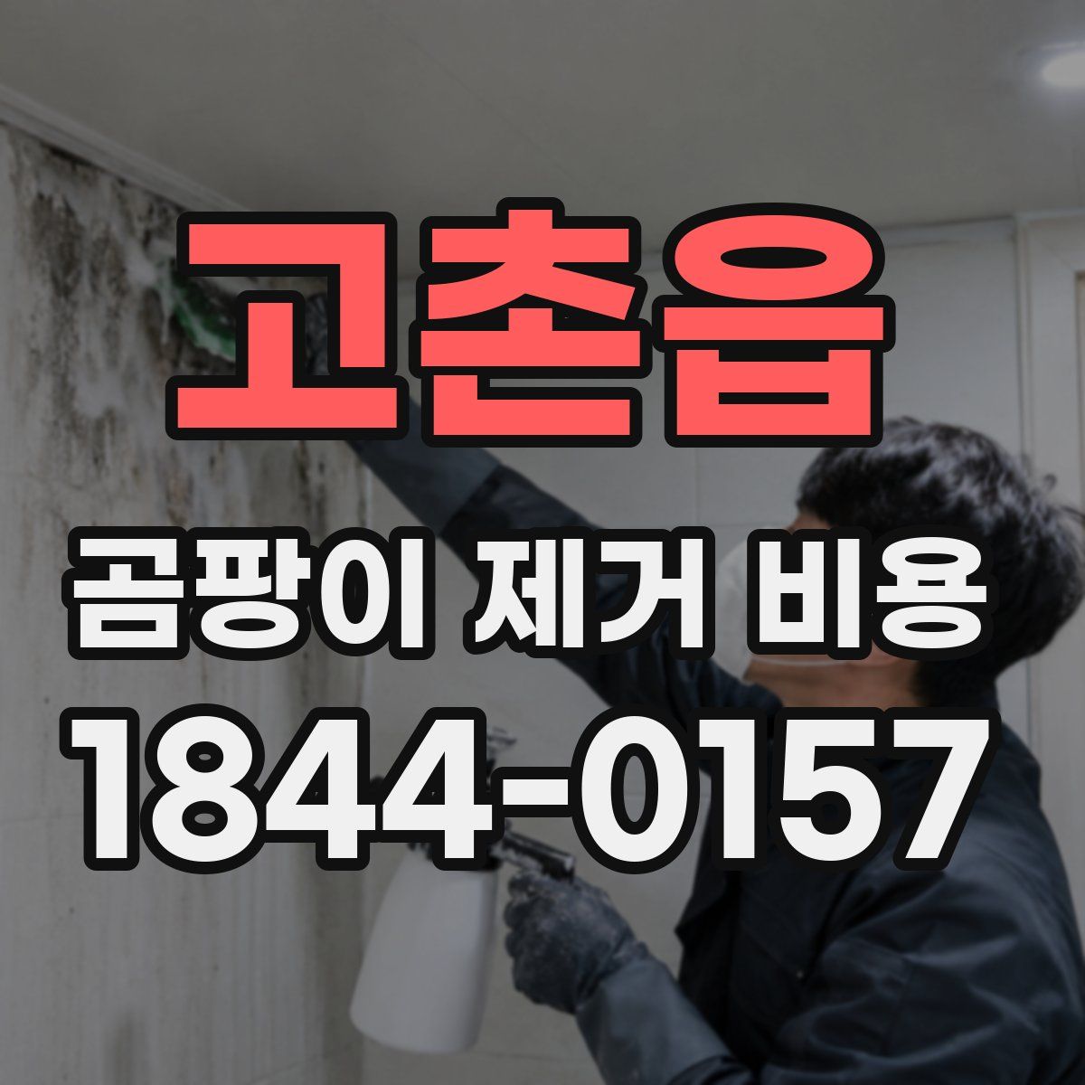 고촌읍 곰팡이 제거 비용