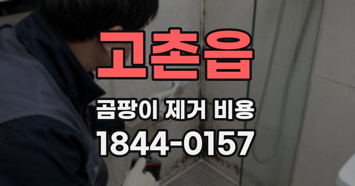 고촌읍 곰팡이 제거 비용