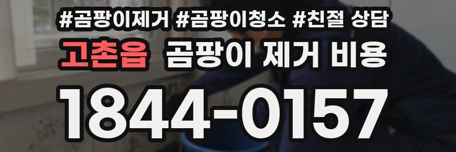고촌읍 곰팡이 제거 비용